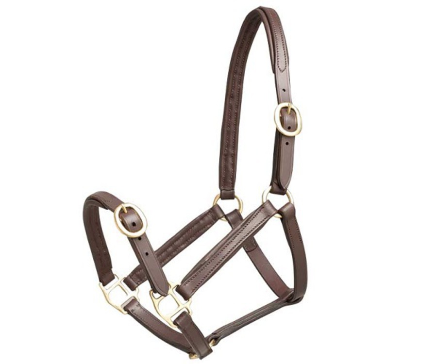 Aintree Leather Foal Halter image 0